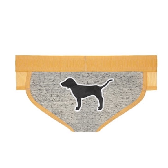 New Victoria’s Secret PINK wide Logo Mesh Hipster - Picture 1 of 3